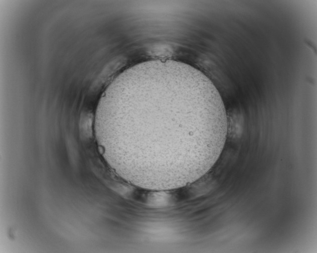 X0000099480717200805231855