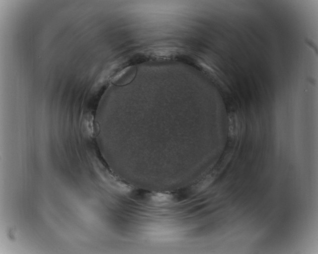 X0000099480718200805231855