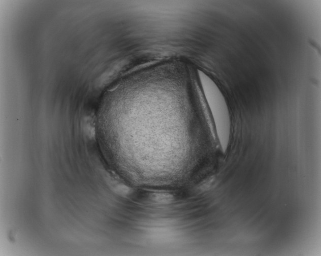 X0000099480719200805231855