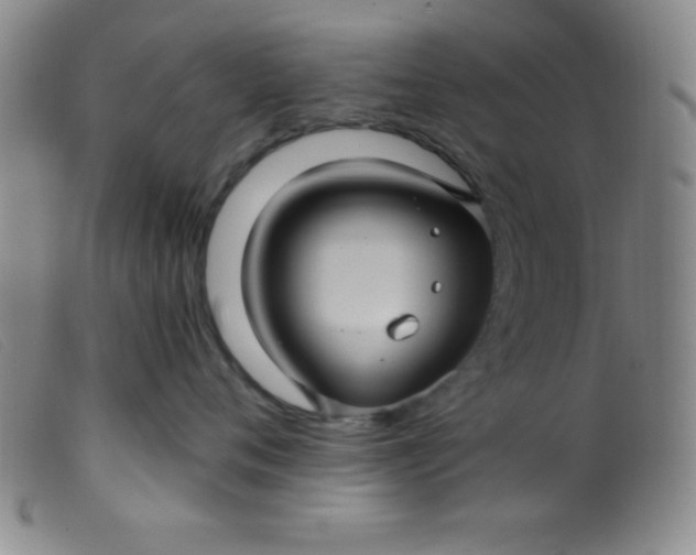 X0000099480720200805231855
