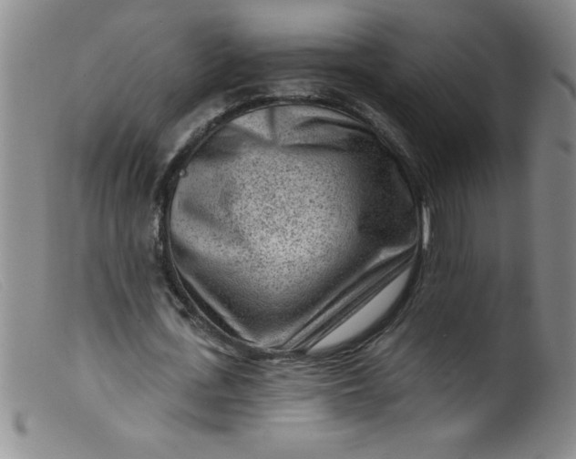 X0000099480723200805231855