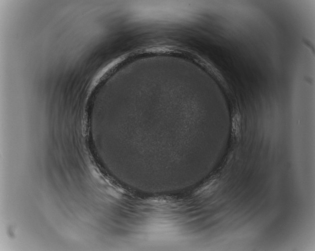 X0000099480724200805231855