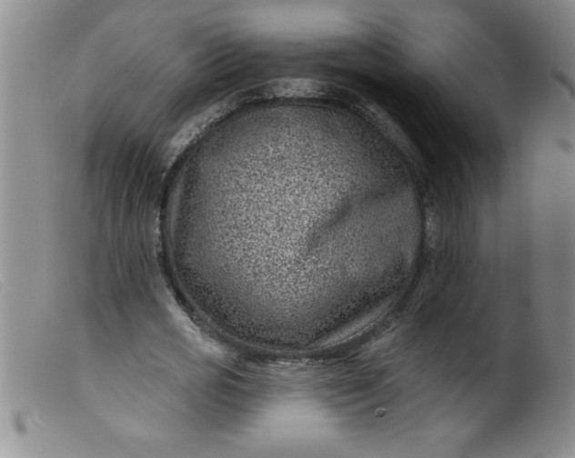X0000099480725200805231855