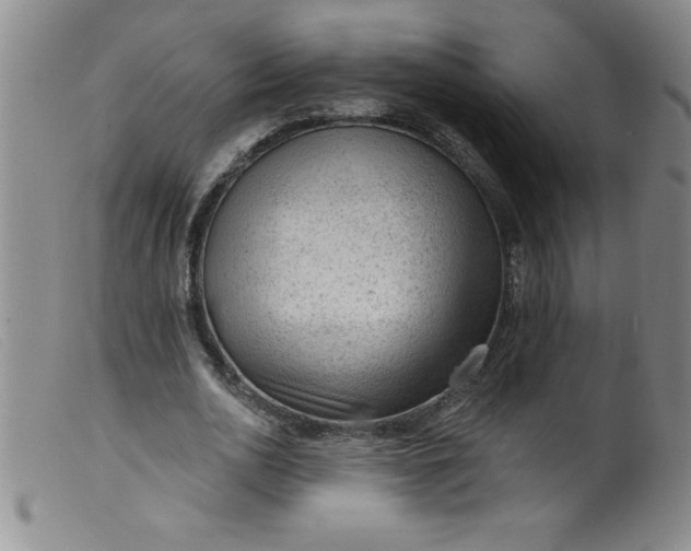 X0000099480726200805231855