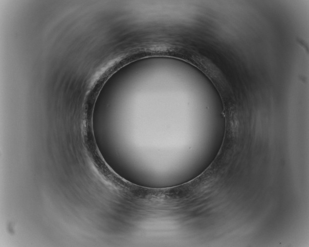 X0000099480728200805231855