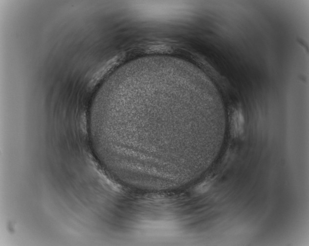 X0000099480729200805231855