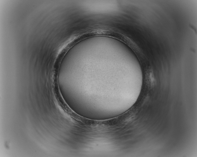X0000099480730200805231855