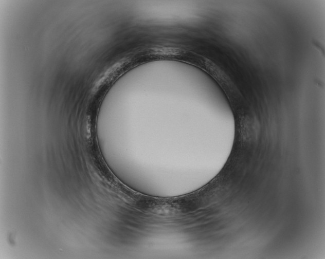 X0000099480731200805231855