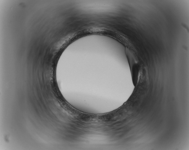 X0000099480732200805231855