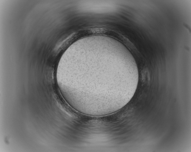 X0000099480733200805231855