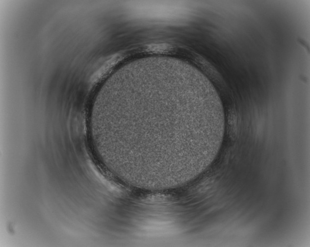 X0000099480734200805231855
