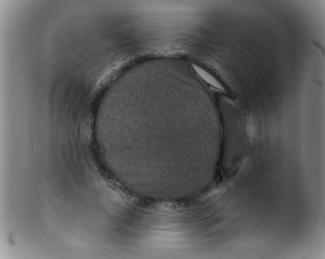 X0000099480736200805231855
