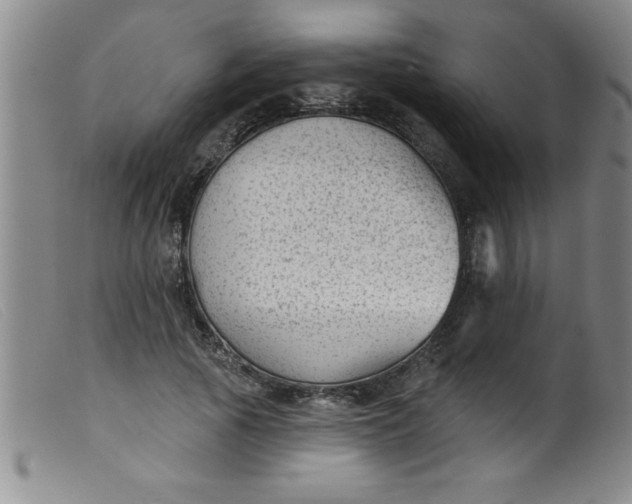 X0000099480737200805231855