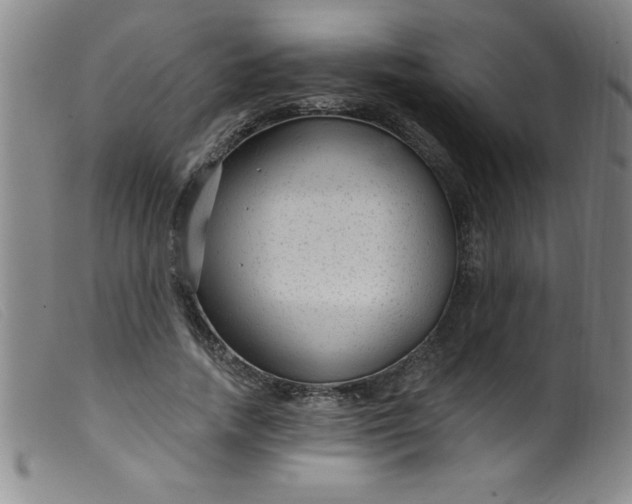 X0000099480738200805231855