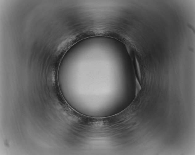 X0000099480740200805231855
