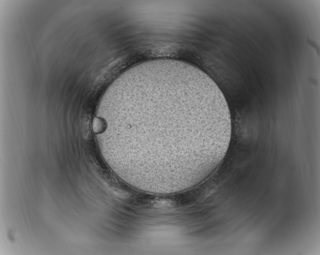 X0000099480741200805231855