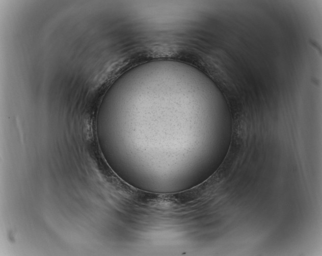X0000099480743200805231855