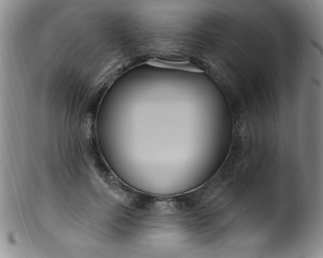 X0000099480744200805231855