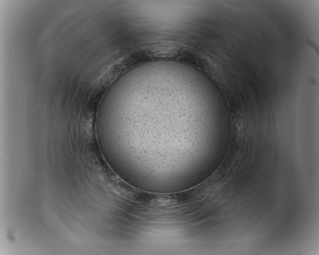 X0000099480745200805231855