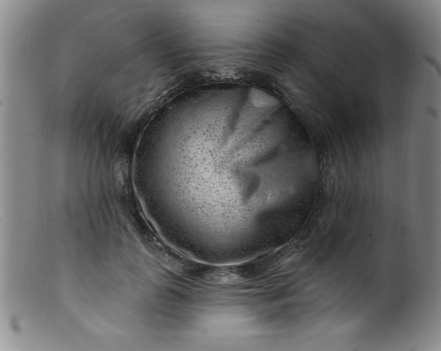 X0000099480747200805231855