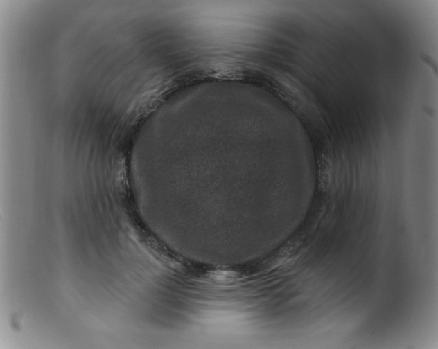 X0000099480748200805231855