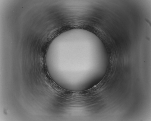 X0000099480749200805231855
