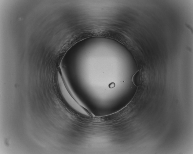 X0000099480750200805231855