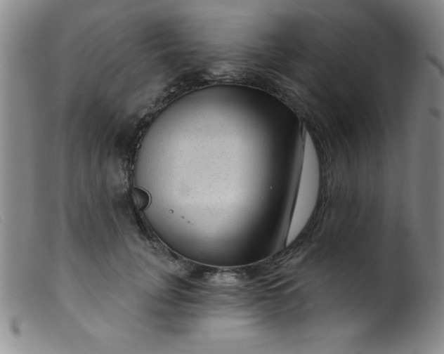 X0000099480751200805231855