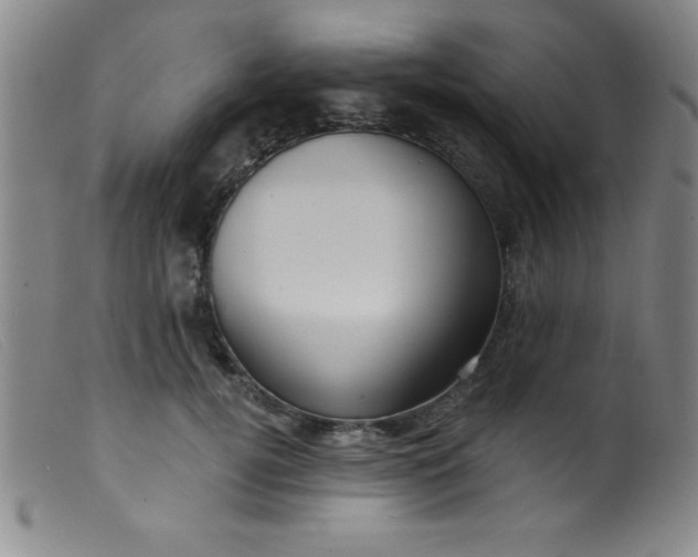 X0000099480752200805231855