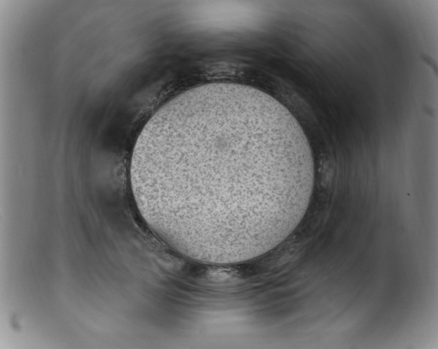 X0000099480753200805231855