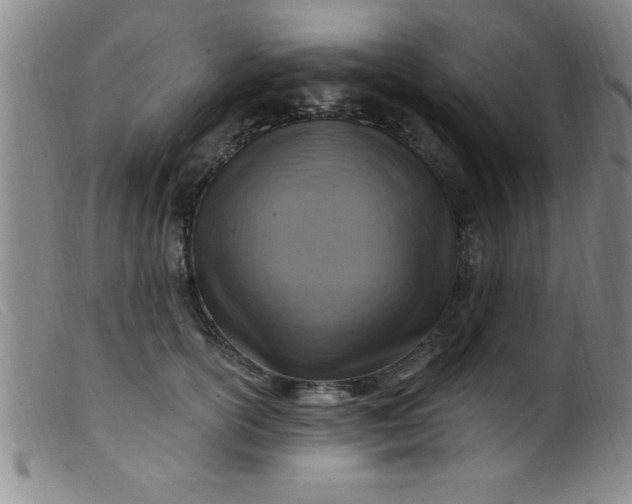 X0000099480754200805231855