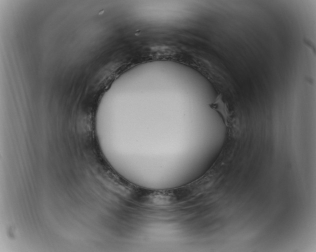 X0000099480756200805231855