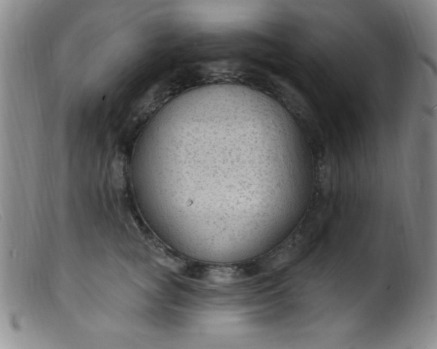 X0000099480757200805231855