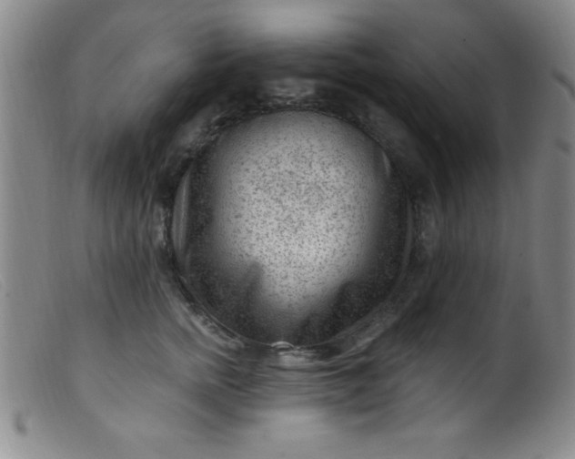 X0000099480758200805231855