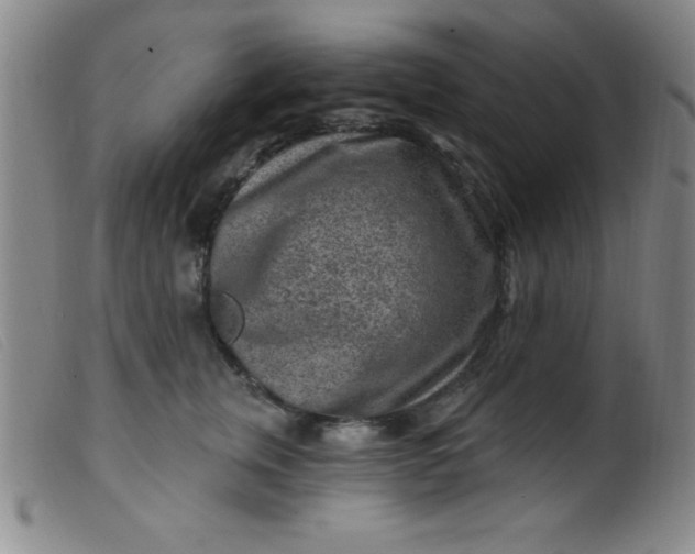 X0000099480759200805231855