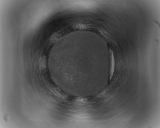 X0000099480760200805231855
