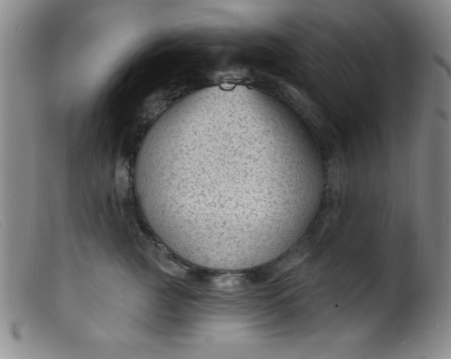 X0000099480761200805231855