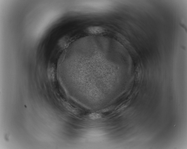 X0000099480762200805231855