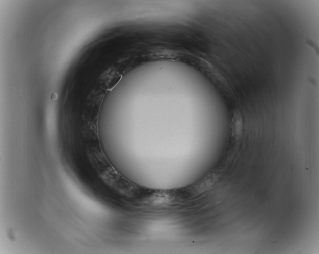 X0000099480764200805231855