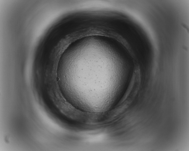 X0000099480765200805231855