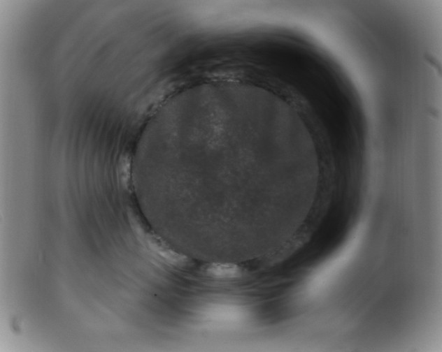 X0000099480767200805231855
