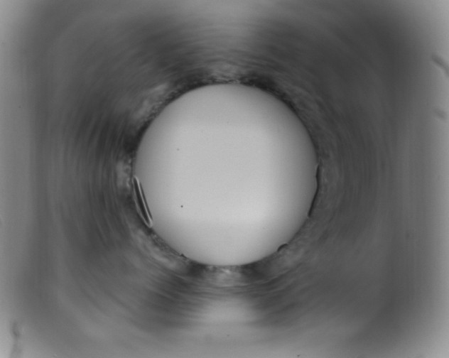 X0000099480768200805231855