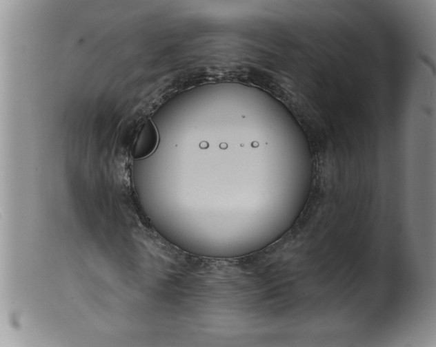 X0000099480770200805231855