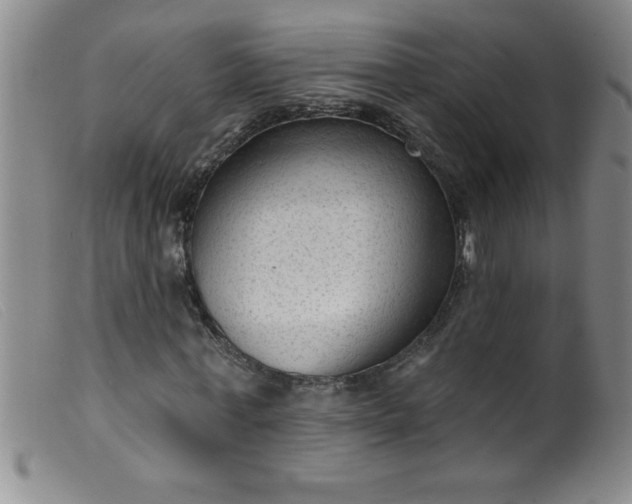 X0000099480771200805231855