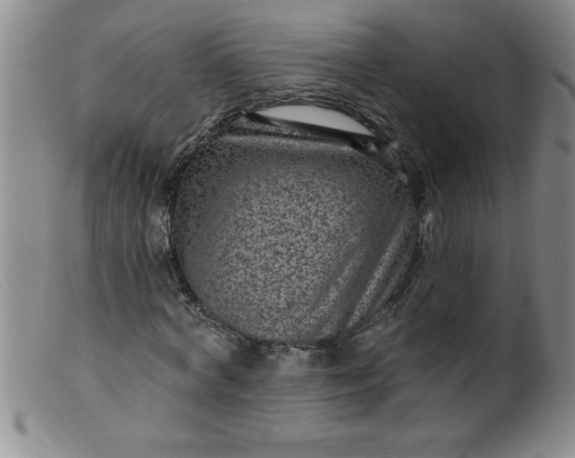 X0000099480772200805231855