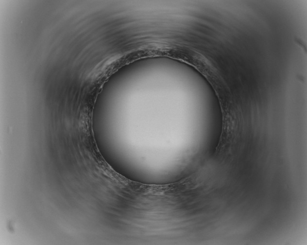 X0000099480773200805231855