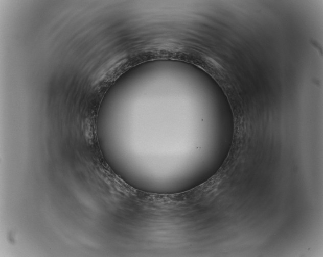 X0000099480774200805231855