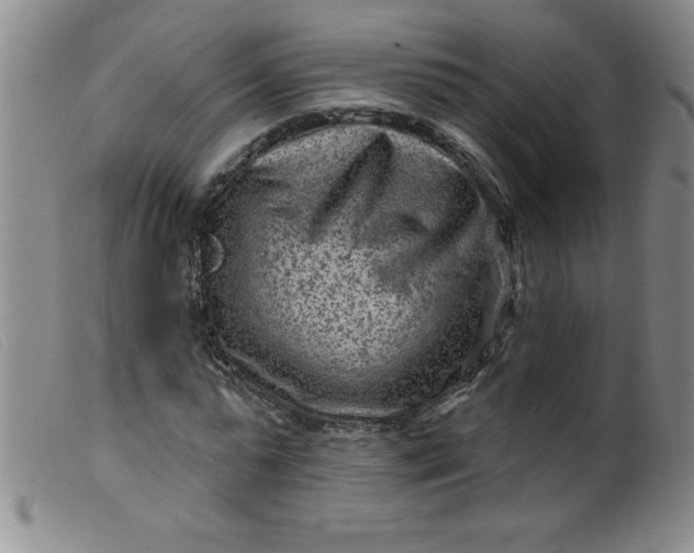 X0000099480775200805231854