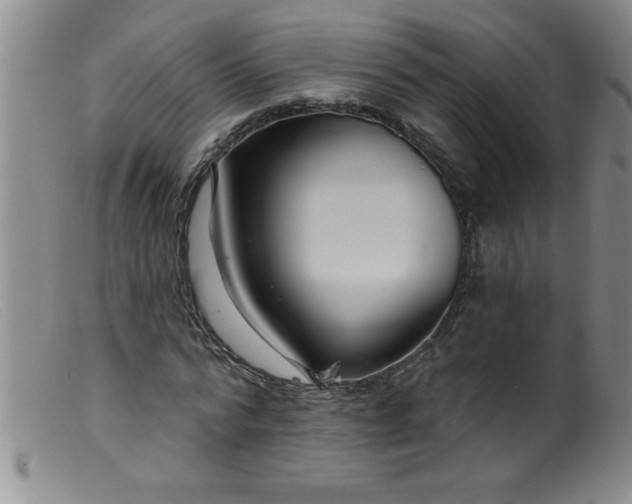 X0000099480776200805231854