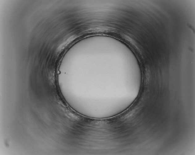 X0000099480778200805231854